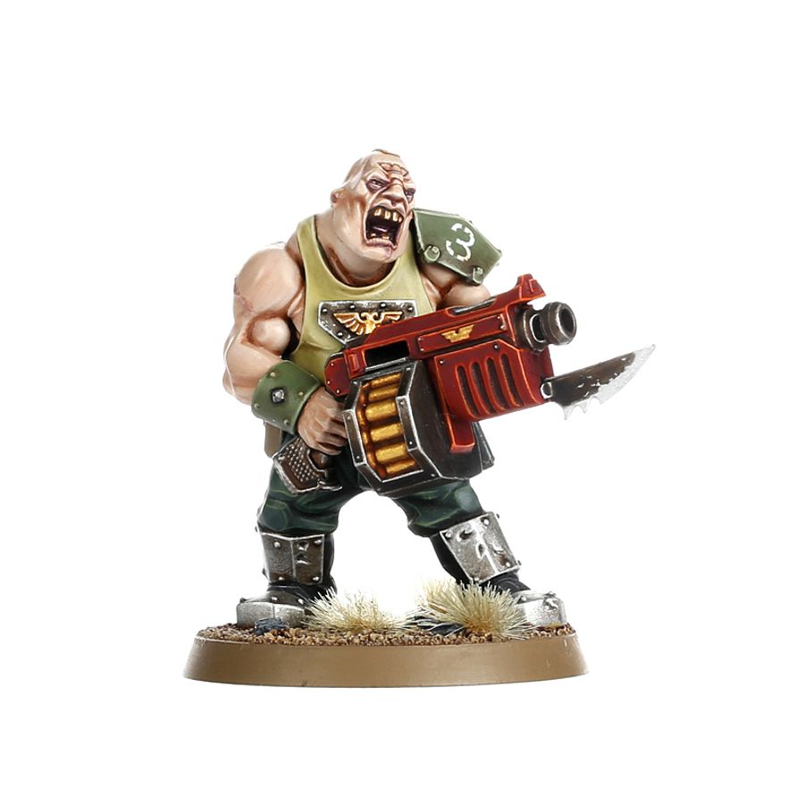 Astra Militarum Bullgryns