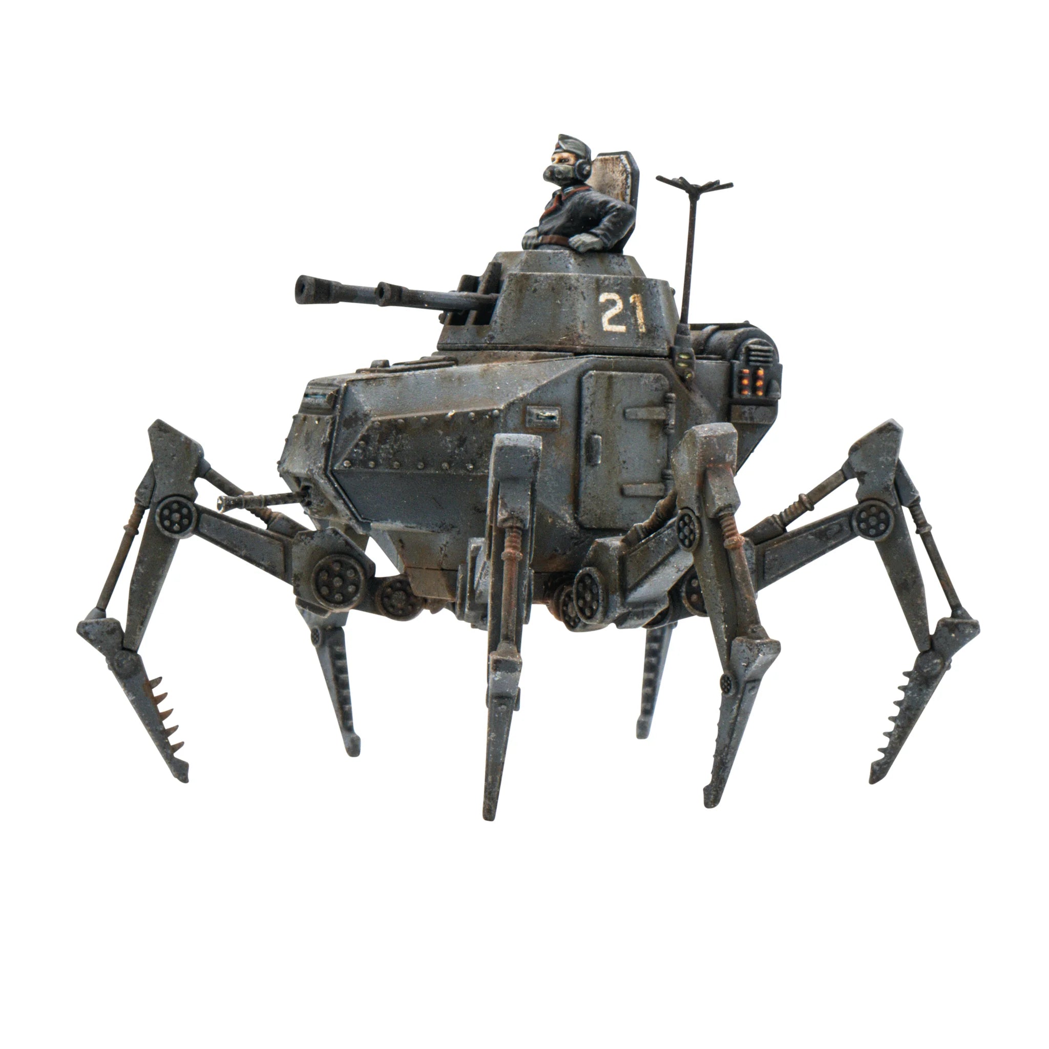 Vogelspinne Light Walker