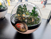 PokeGlobe Sleeping Bulbasaur