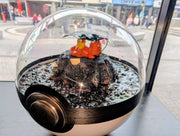 PokeGlobe Sleeping Charmander