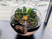 PokeGlobe Leafeon