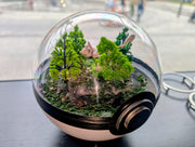 PokeGlobe Mew