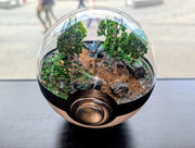 PokeGlobe Riolu