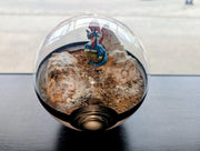 PokeGlobe Salamence