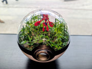 PokeGlobe Scizor