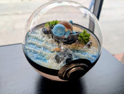 PokeGlobe Squirtle
