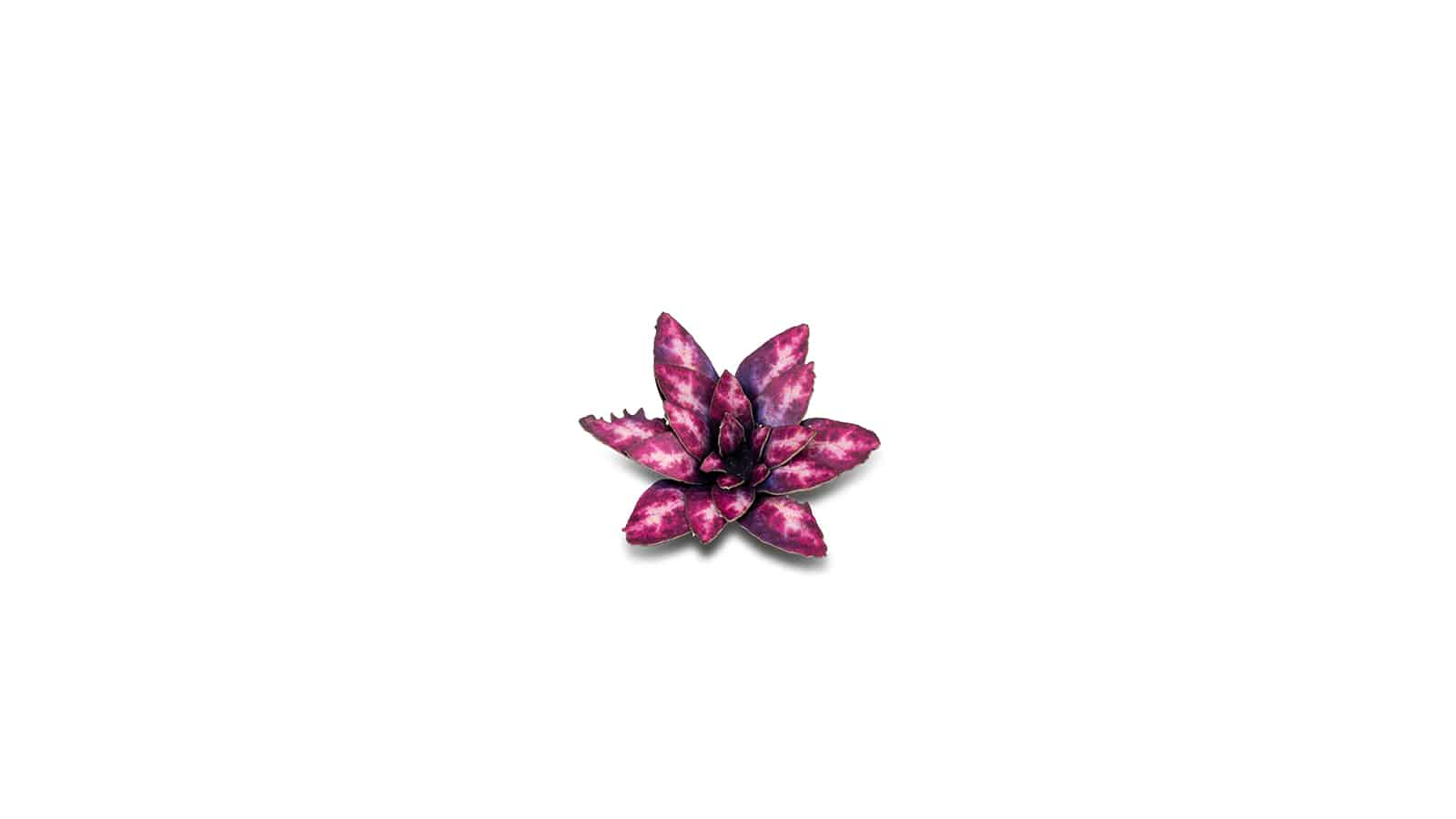 Gamers Grass: Laser Plants - Alien Rosette
