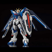 Rising Freedom Gundam STTS-909 HG